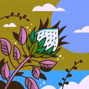 Meet your Posher, Sadie